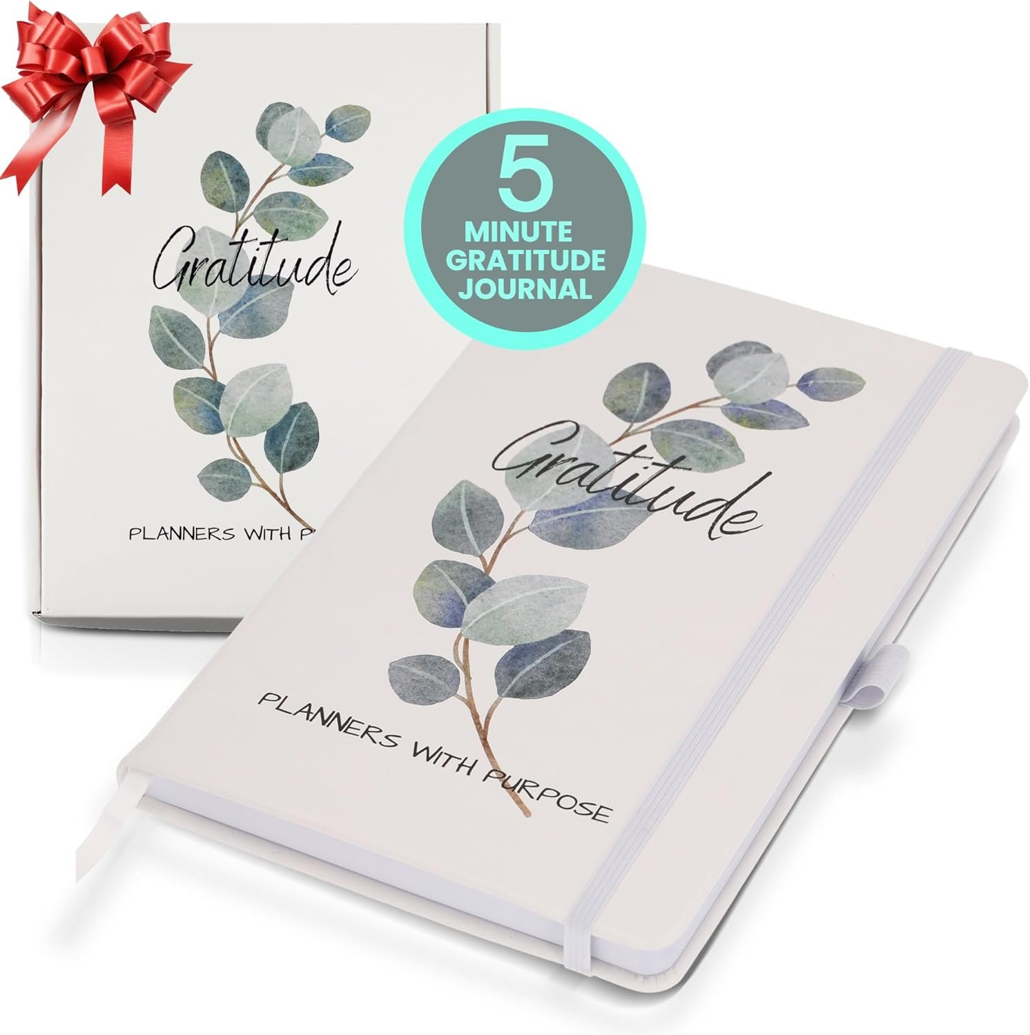Gratitude Journal for Women – 5 Minute Daily Self Care & Mindfulness Planner with Guided Prompts for Positivity, Affirmations, Manifestation, Reflection – Undated Happiness Diary
