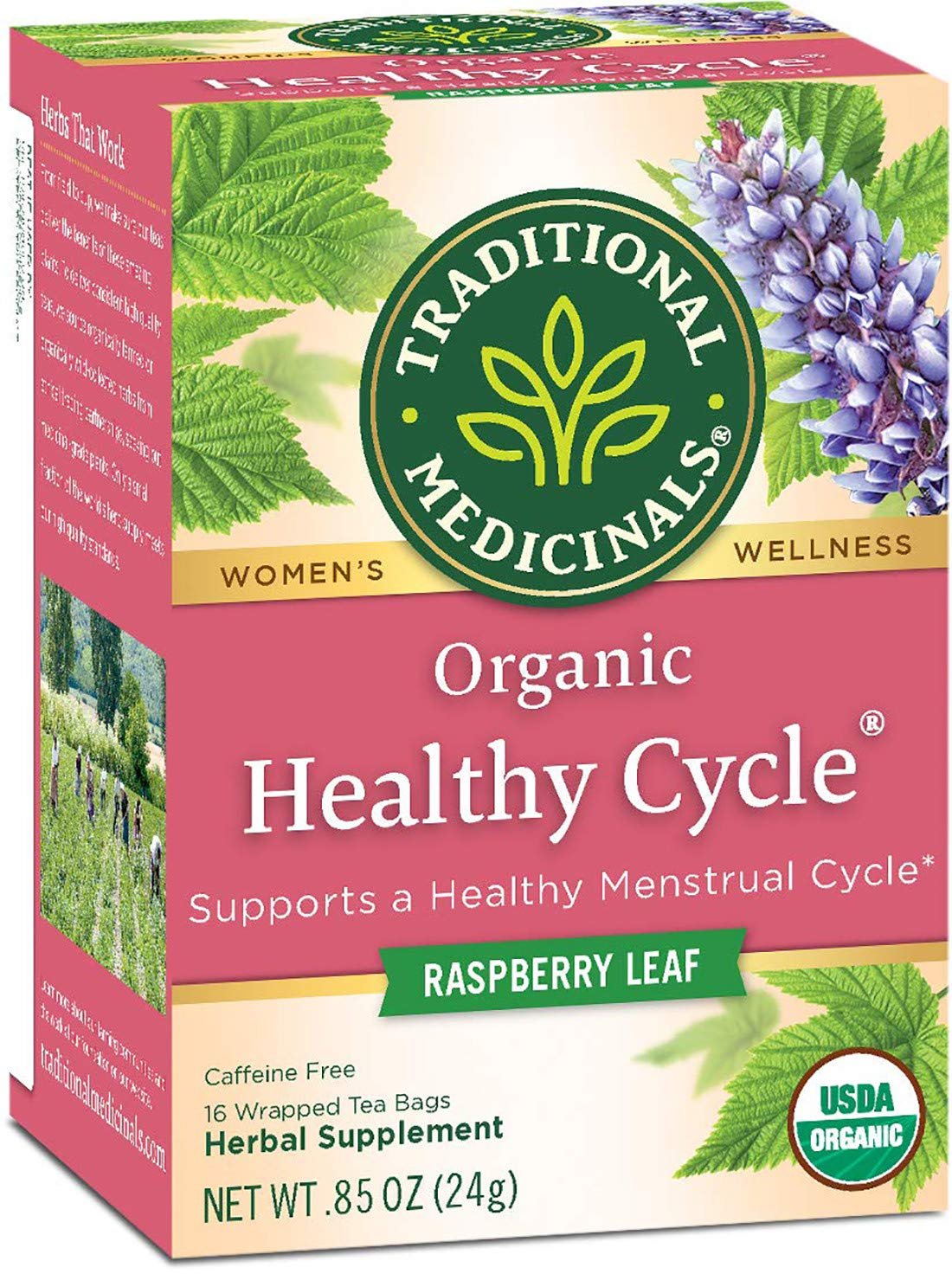 Traditional Medicinals Healthy Cycle, 16 Wrapped Tea Bags, 0.85 oz
